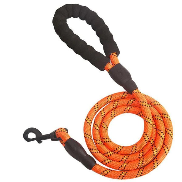 Reflective Rope Dog Leash — Padded Handle
