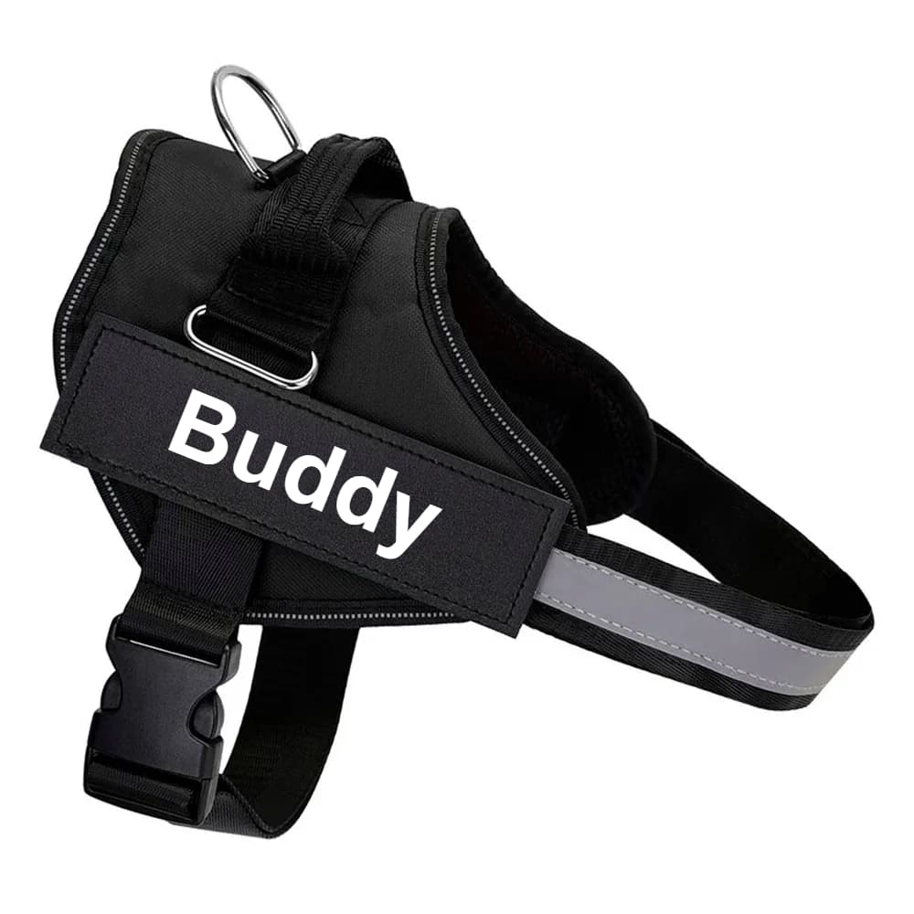Personalized No-Pull Dog Harness