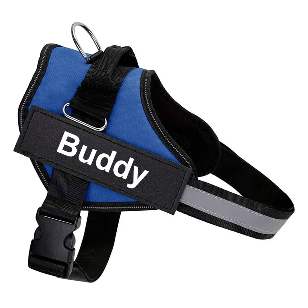 Personalized No-Pull Dog Harness