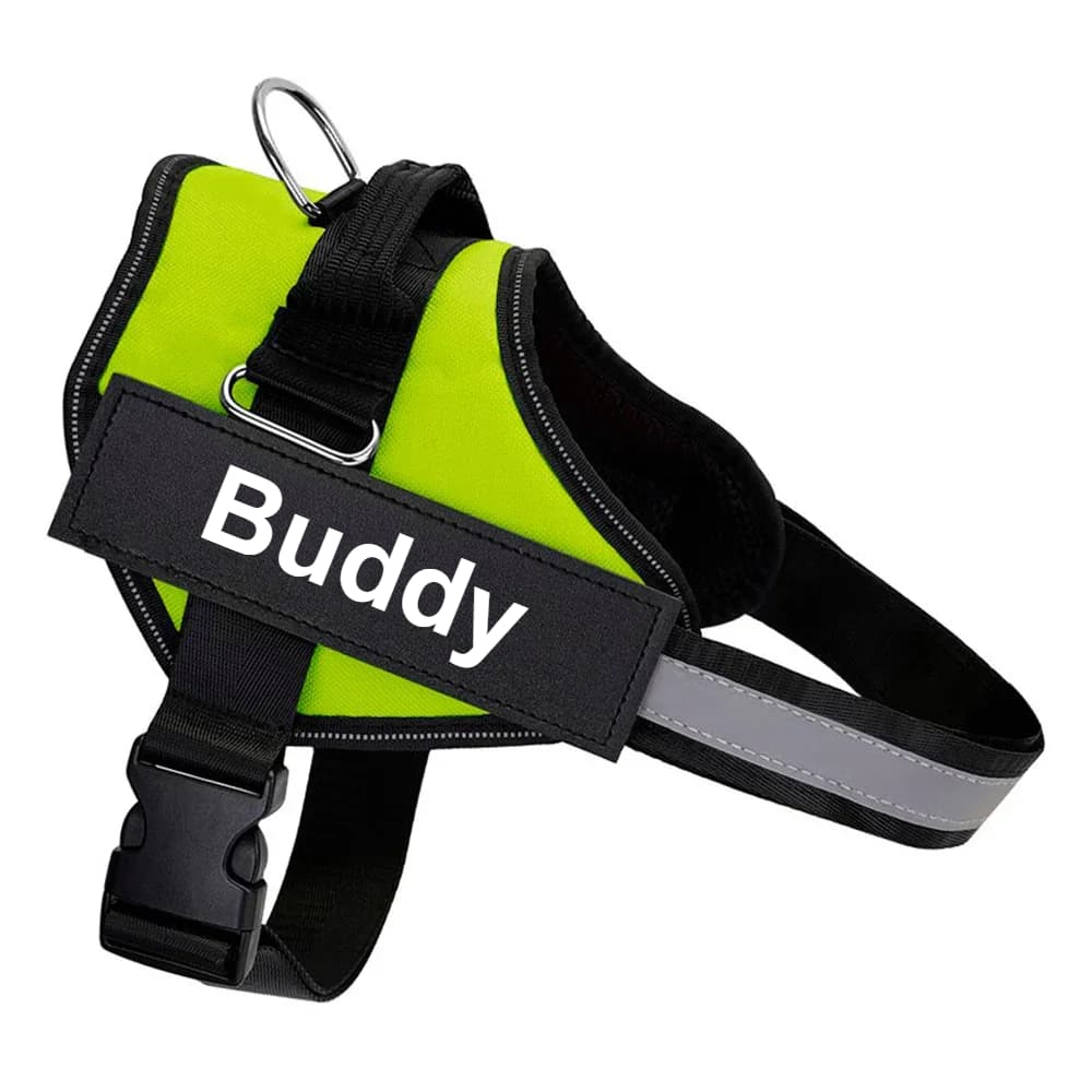 Personalized No-Pull Dog Harness