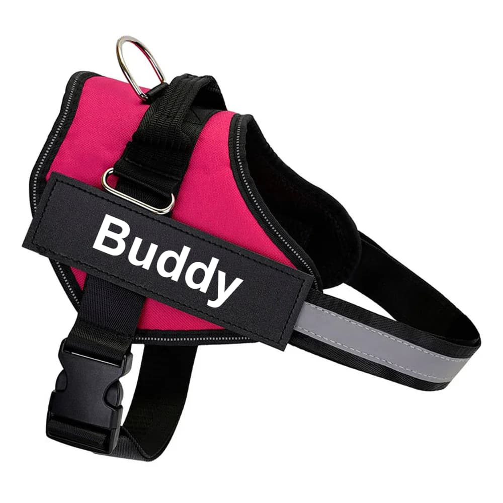 Personalized No-Pull Dog Harness
