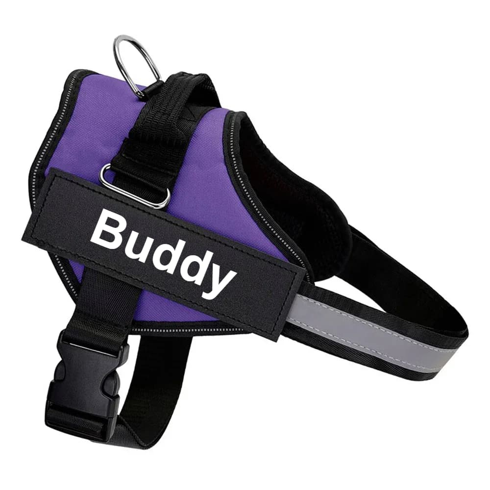 Personalized No-Pull Dog Harness