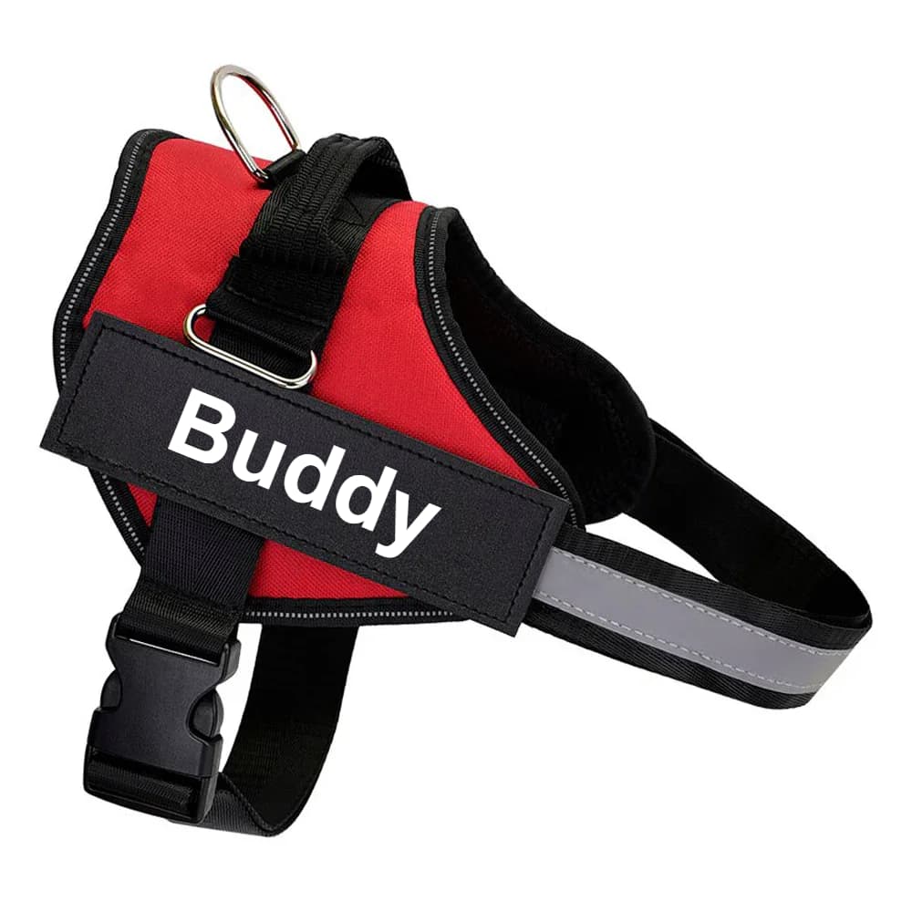 Personalized No-Pull Dog Harness